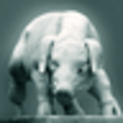 Icono de programa: TinyTrader
