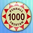 Icon of program: Pinball Tristan