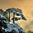 Icon of program: Beautiful Pictures Free