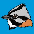 Icon of program: Aves argentinas