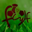 Icon of program: FCYLF Ftbol