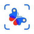 Icon of program: Picture Insect - Insect I…