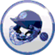 Icon of program: International Cricket Cap…