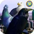 Icon of program: City Birds Simulator