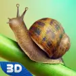 Icon of program: Snail Wild Life Simulator…