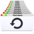 Icono de programa: FileGoBack