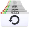 Icon of program: FileGoBack