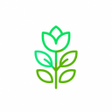 Icono de programa: Plant  Mushroom ID: AI Ca…