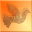 Icon of program: Walk the Walk Daily