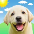 Icon of program: Weather Puppy