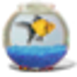 Icon of program: Goldfish Aquarium