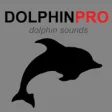 Icon of program: Bottlenose Dolphin Sounds