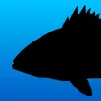 Icono de programa: Fish Rules 2013