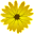 Icon of program: Medicinal Herbs