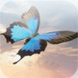 Icon of program: LIFE Before Death