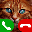 Icon of program: fake call cat game