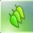 Icon of program: Leafier Portable (64-bit)