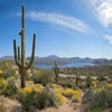 Icon of program: Phoenix Local News Free