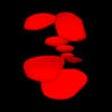 PocketLight icon