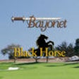 Icon of program: Bayonet and Black Horse G…