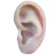 Icon of program: AcuMap EAR