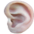 Icon of program: AcuMap EAR