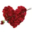 Icon of program: Rose Day Valentine Animat…