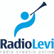 Icon of program: Radio Levi