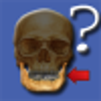 Icono de programa: Anatomy Quiz for Windows …