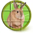 Icon of program: Bunny Puzzle