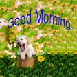 Icon of program: Good Morning Greetings We…