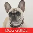 Icon of program: French Bulldog 101