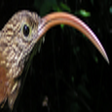 Icon of program: Scythebill