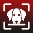 Icon of program: Dog Breed:Scanner & Ident…