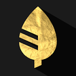 Icono de programa: Gold Leaf - Icon Pack (Pr…
