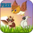 Icon of program: Graden Birds FREE