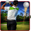 Icon of program: Real Golf Master 3D
