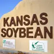 Icon of program: Kansas Soybean