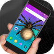 Icon of program: Spider in phone prank