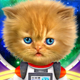 Icono de programa: Talking baby cat in space