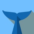Icon of program: Flipper - Mirror Image Re…