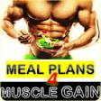 Icon of program: Meal Planner For Muscle G…