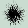 Icon of program: PolyFauna