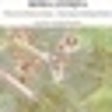 Icono de programa: The Ancient Rome Vector M…
