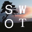 SWOT Chart icon