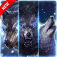 Icon of program: Howl Wolf Collection HD