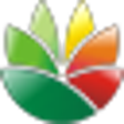 Icon of program: EximiousSoft Logo Designe…