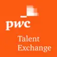 Icon of program: PwC Talent Exchange
