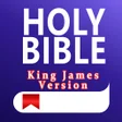Icon of program: The One Bible