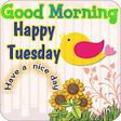 Icon of program: Happy Tuesday Good Mornin…
